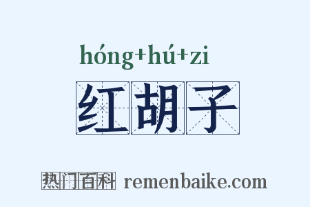 红胡子是什么意思的图片